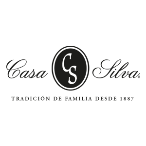 Logo Casa Silva-300px