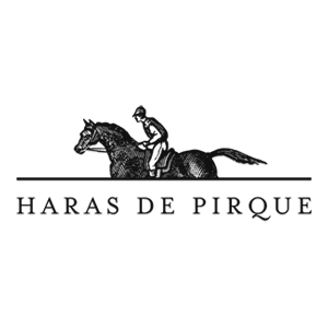 Logo Haras de Pirque-300px
