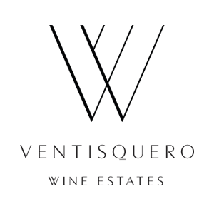 Logo-Ventisquero-300px