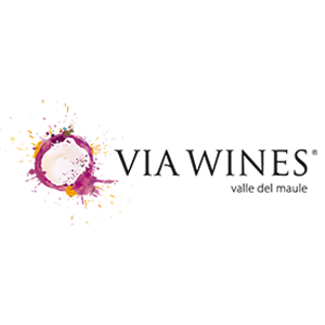 Logo Via Wines-300px