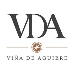 Logo Viñedos de Aguirre-300px