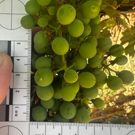 cambio-climatico-pie-02