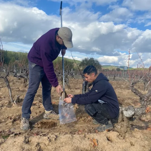 cambio-climatico-pie-04